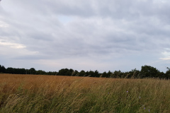 20170707_205732
